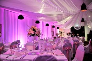 13626396 1677310929183743 3178846394841756564 N Gallery