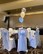 Chair Covers & Sashes Photo - 1