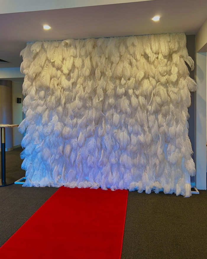 Feather Wall Photo - 2