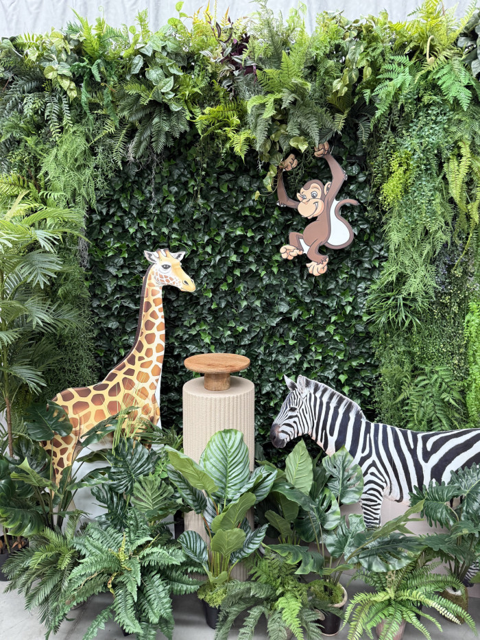 Jungle Theme Combination Package Photo - 1