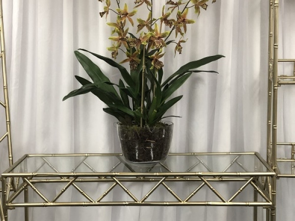 Gold Metal Bamboo Display Console Photo