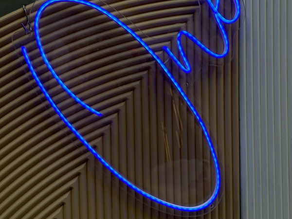 One Neon Sign Photo