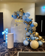 Acrylic Arch Backdrop - White Photo - 5